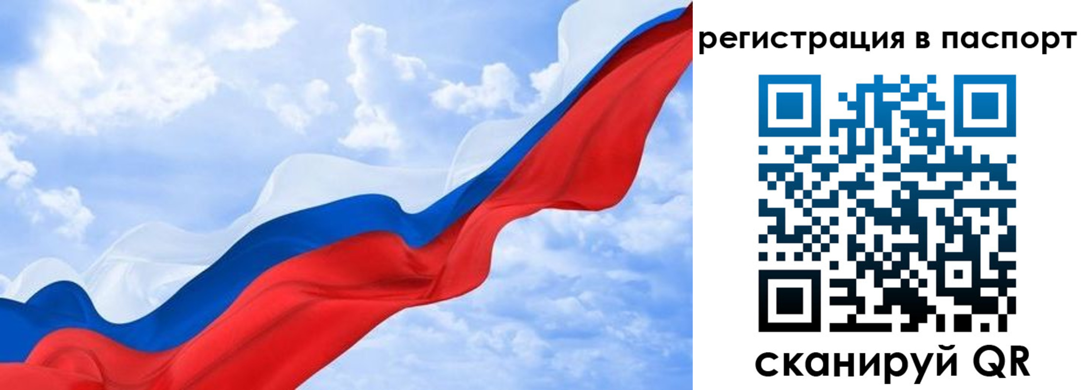 прописка поиск в Армавире